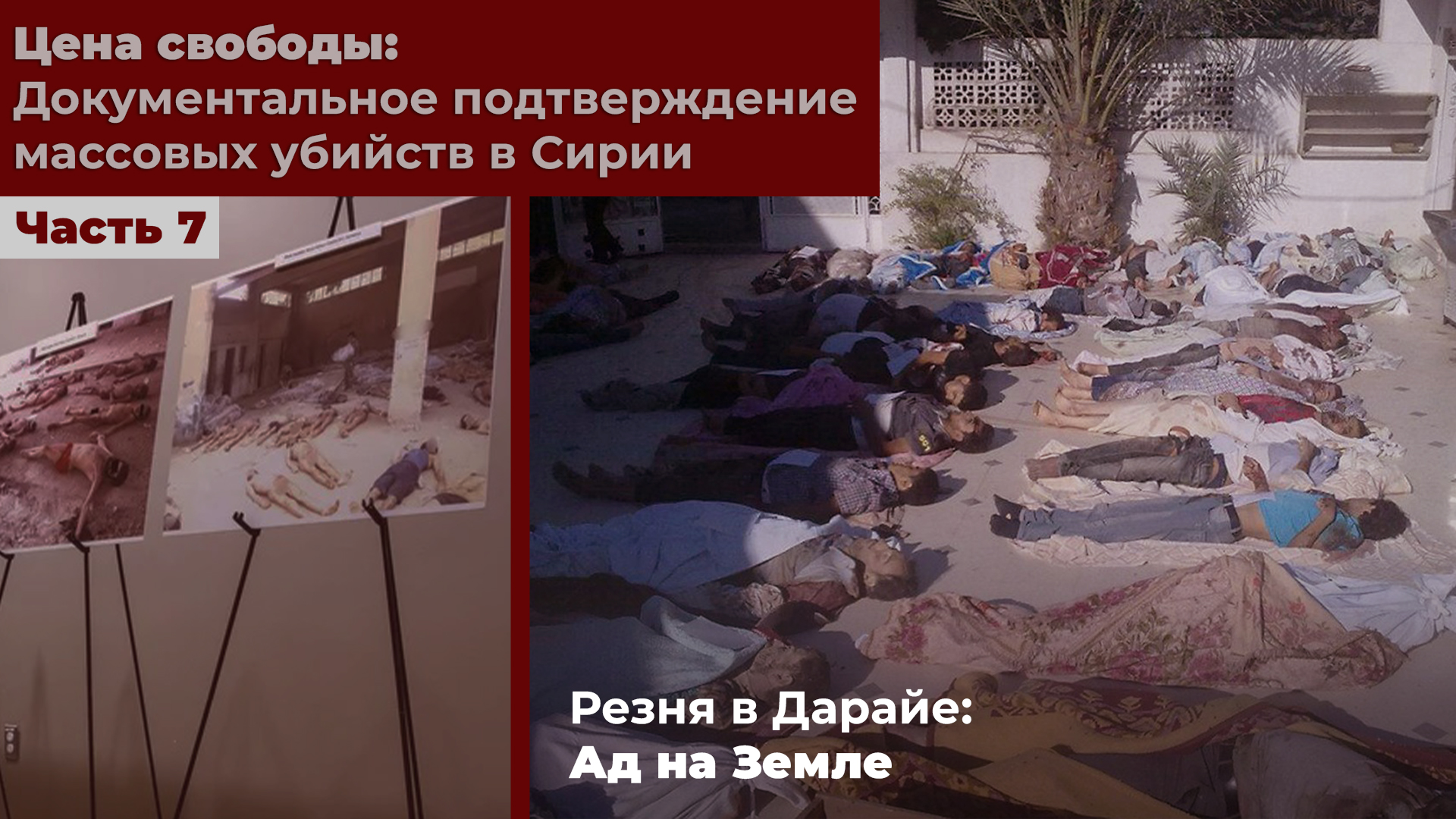 Цена свободы: Документальное подтверждение массовых убийств в Сирии