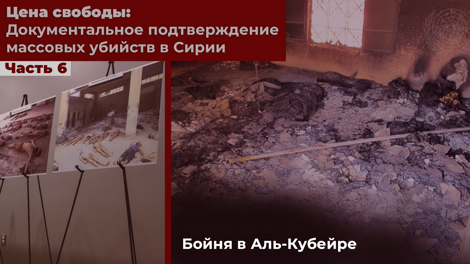 Цена свободы: документальное подтверждение массовых убийств в Сирии