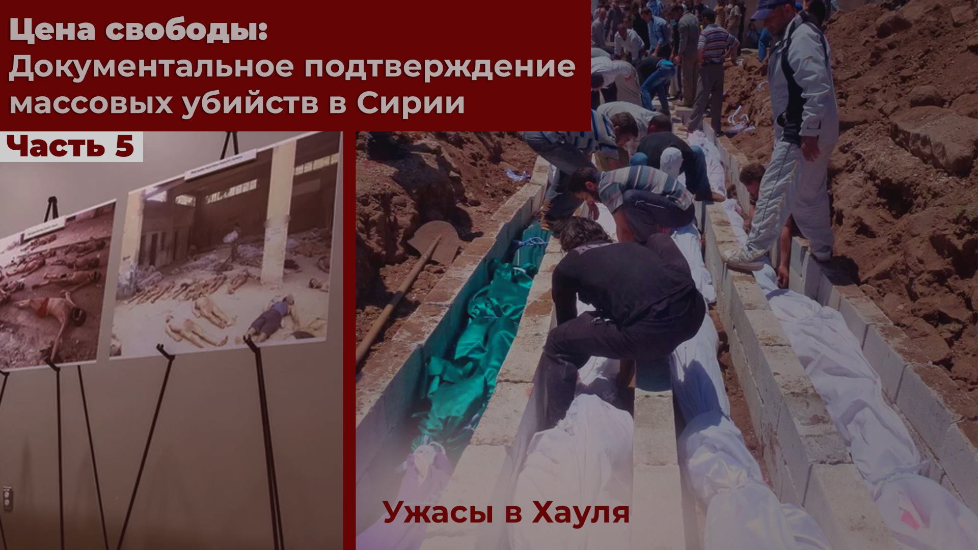 Цена свободы: Документальное подтверждение массовых убийств в Сирии