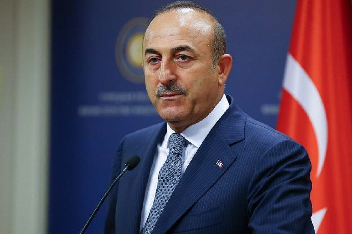 Cavusoglu Reveals Details of Turkish Roadmap for Syrian Refugee Repatriation