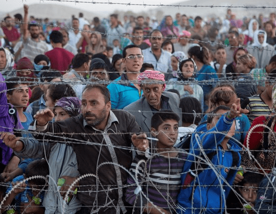 Syria Returnees Subjected to Assad Regime Violations