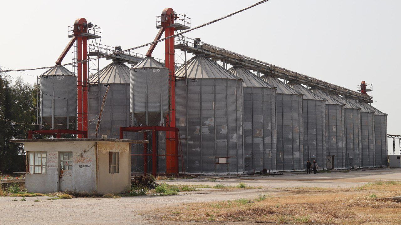 Wheat in Post-Assad Syria: Rebuilding the Broken Supply Chain