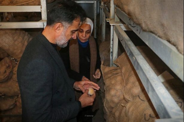 A National Agricultural Project for Potato Seed Production