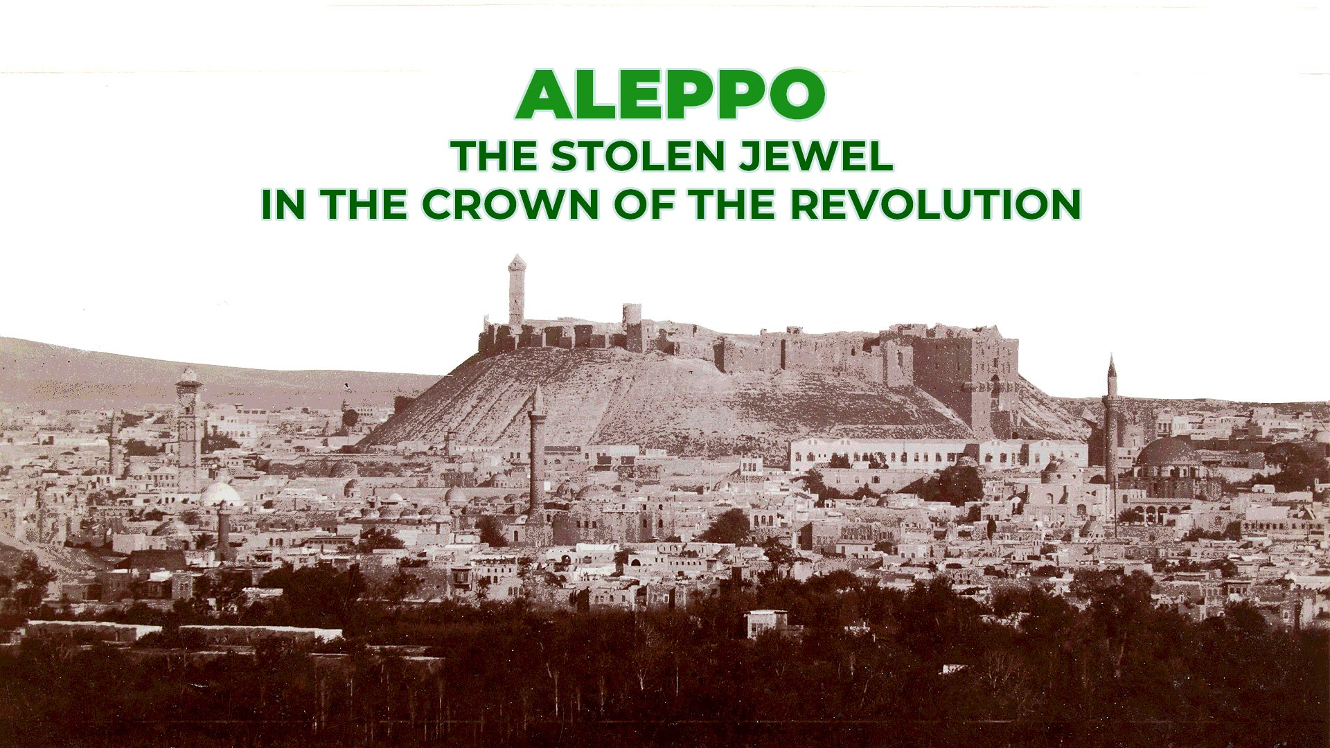 Aleppo City: The Heart of the Syrian Revolution