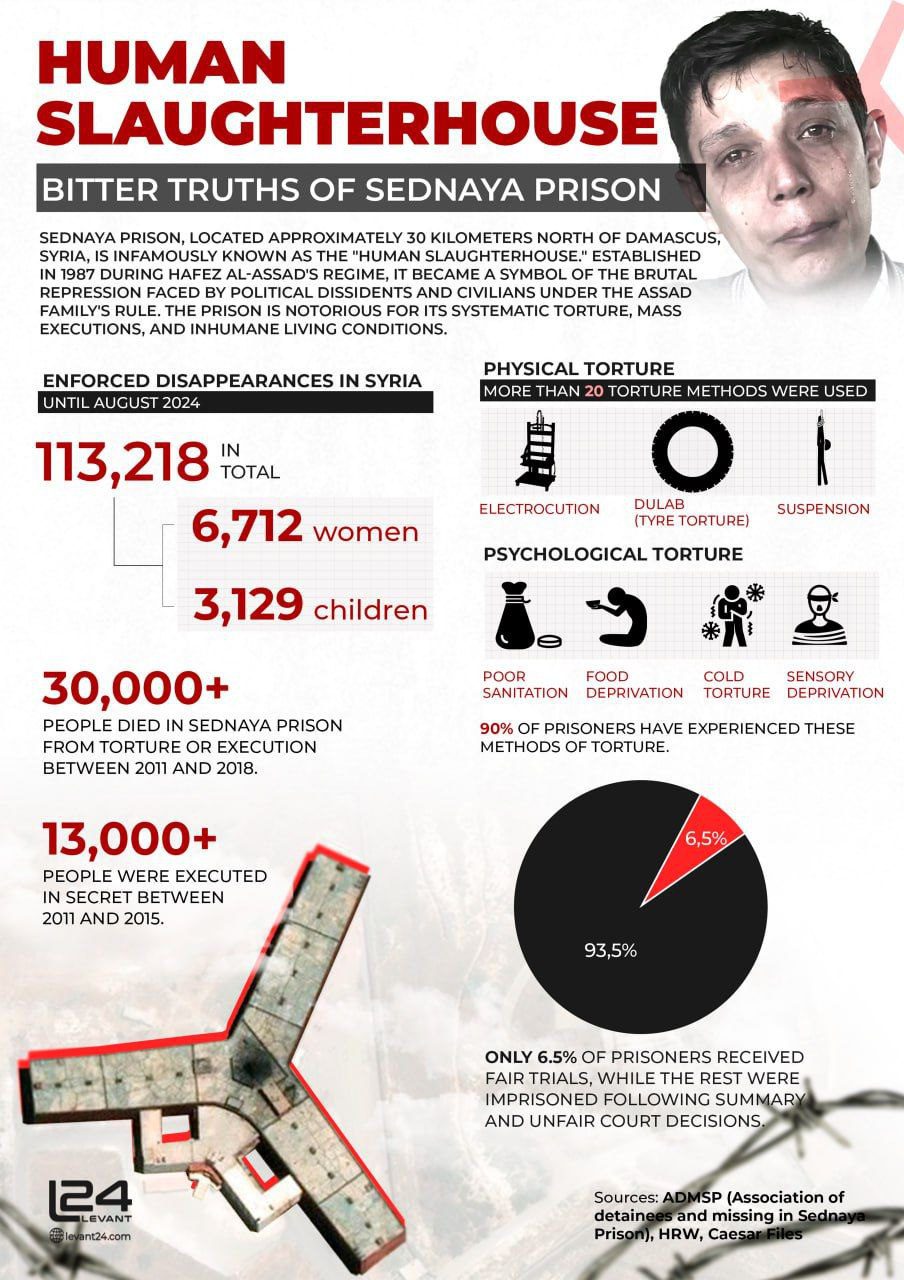 Human Slaughterhouse: Bitter Truths of Sednaya Prison